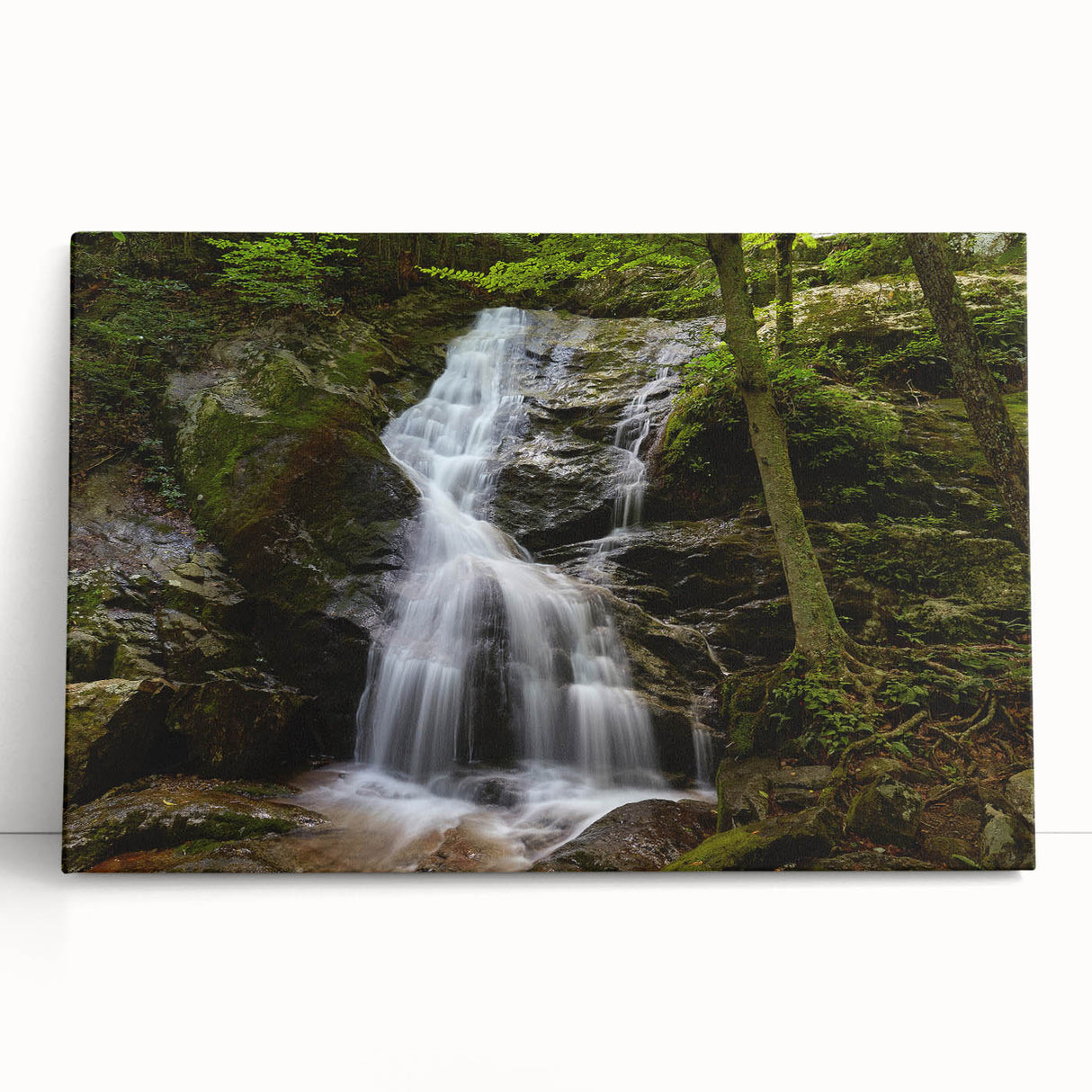 Black and white photograph of Virginia scenery on large stretched canvas, ideal for kitchen wall art.