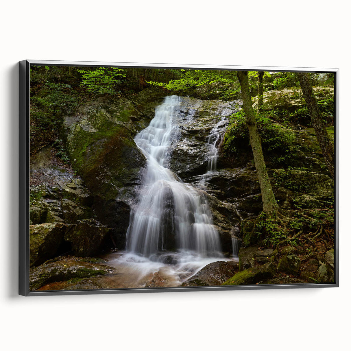 Black and white framed canvas of a Virginia landscape, ideal for bedroom wall art, in a vintage poster style.