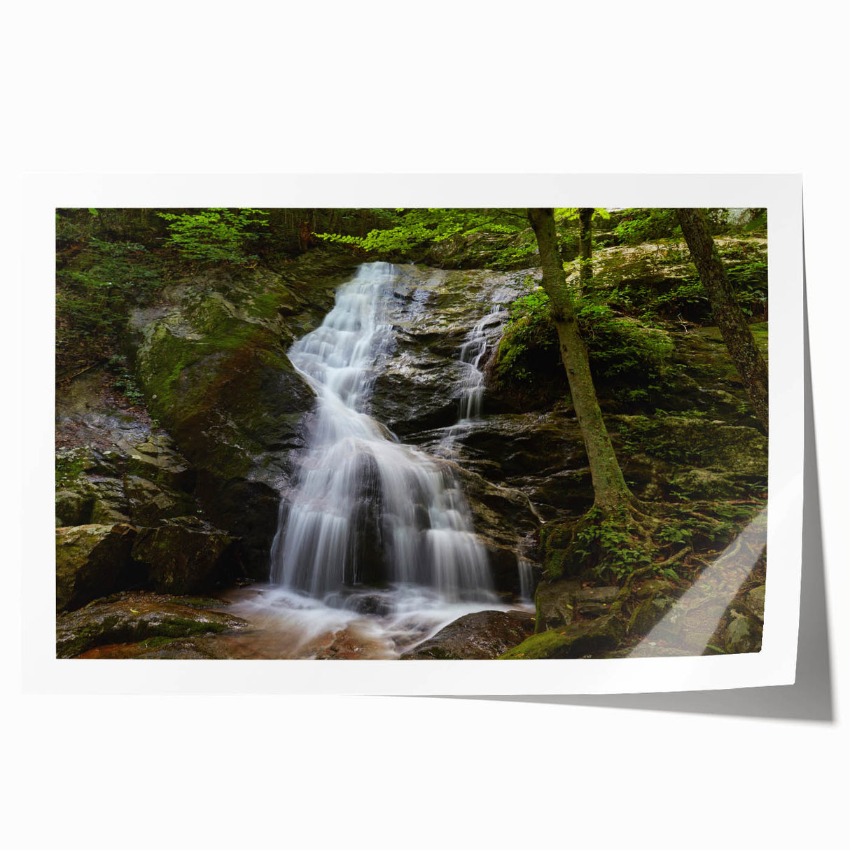 Rolled print of Virginia scenery with floral elements in soft pastel colors, suitable for art wall dining room.