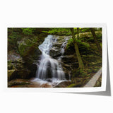 Rolled print of Virginia scenery with floral elements in soft pastel colors, suitable for art wall dining room.