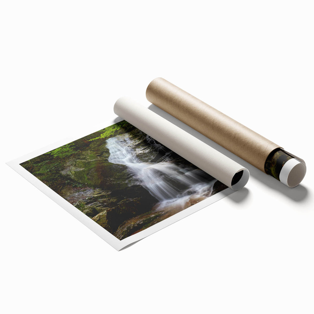 Extra large rolled print of a Virginia scenery with muted floral art.