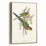 Romanticism Art - Red-Capped Parakeet - Classic Ornithological Print