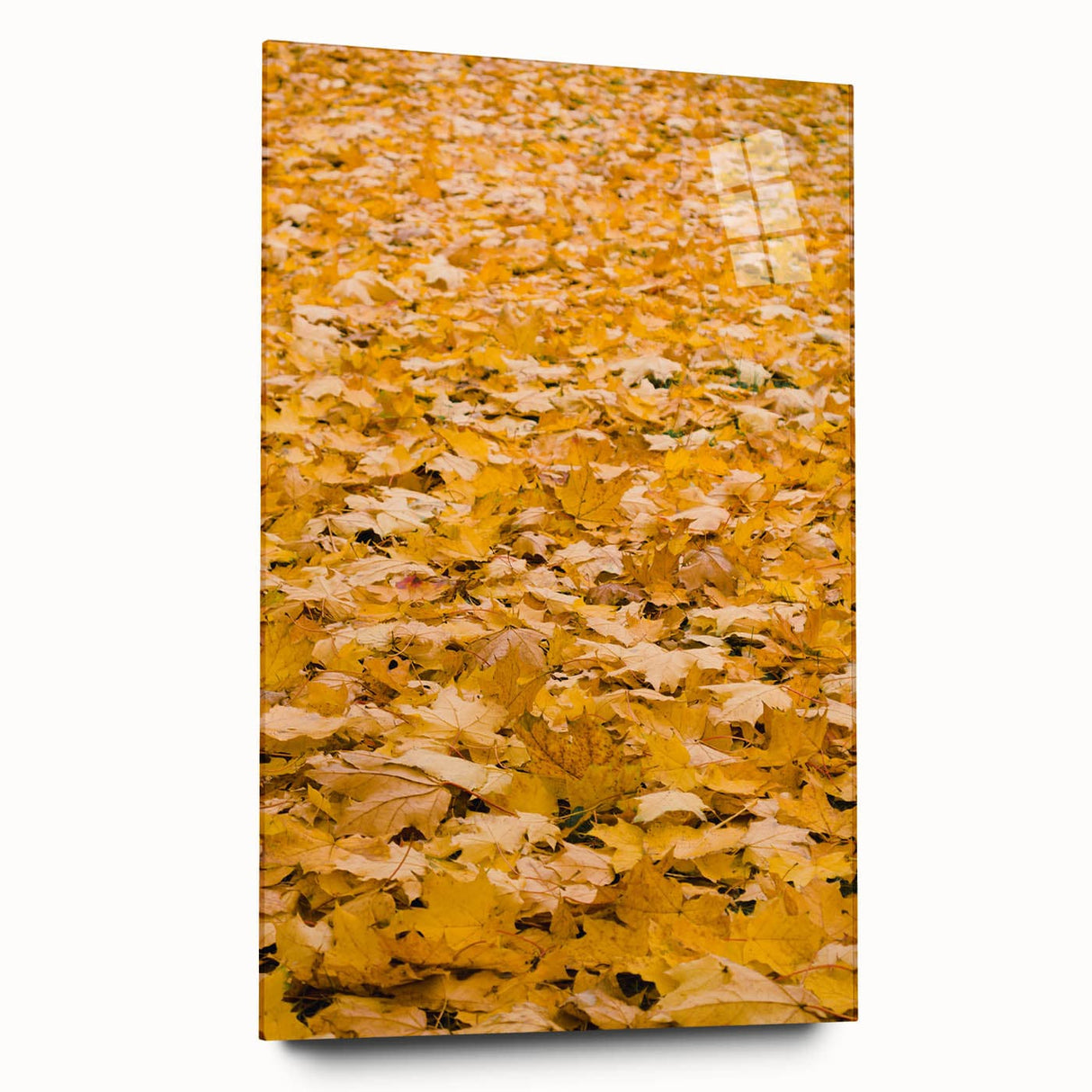 Large abstract wall art in warm autumn hues on acrylic glass, suitable for bedroom or dining room decor.
