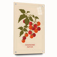 Large abstract wall art featuring assorted fruits in vibrant colors on acrylic glass, suitable for dining room decor.