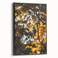 Black and white framed canvas depicting a vintage landscape scene, ideal for bedroom wall art.