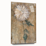 Elegant Chrysanthemum Modern Wall Art - Minimalist Contemporary Art Print