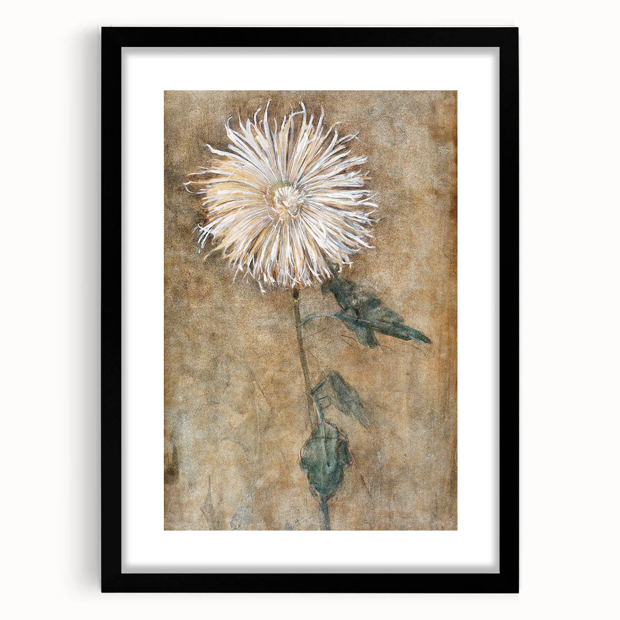 Elegant Chrysanthemum Modern Wall Art - Minimalist Contemporary Art Print