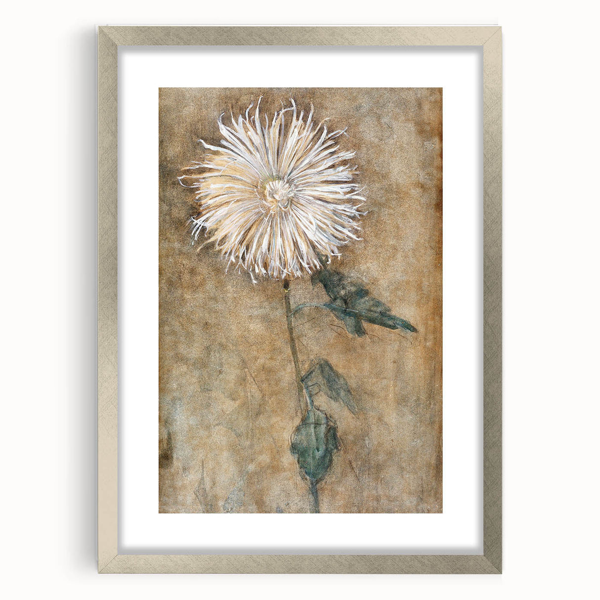 Elegant Chrysanthemum Modern Wall Art - Minimalist Contemporary Art Print