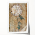 Elegant Chrysanthemum Modern Wall Art - Minimalist Contemporary Art Print