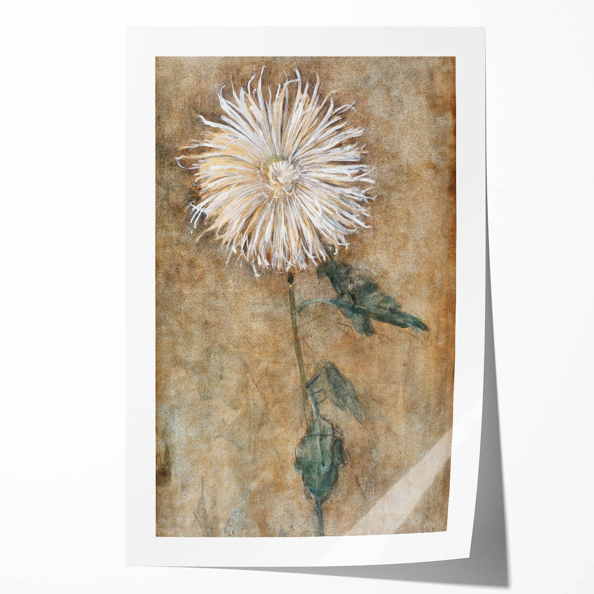 Elegant Chrysanthemum Modern Wall Art - Minimalist Contemporary Art Print