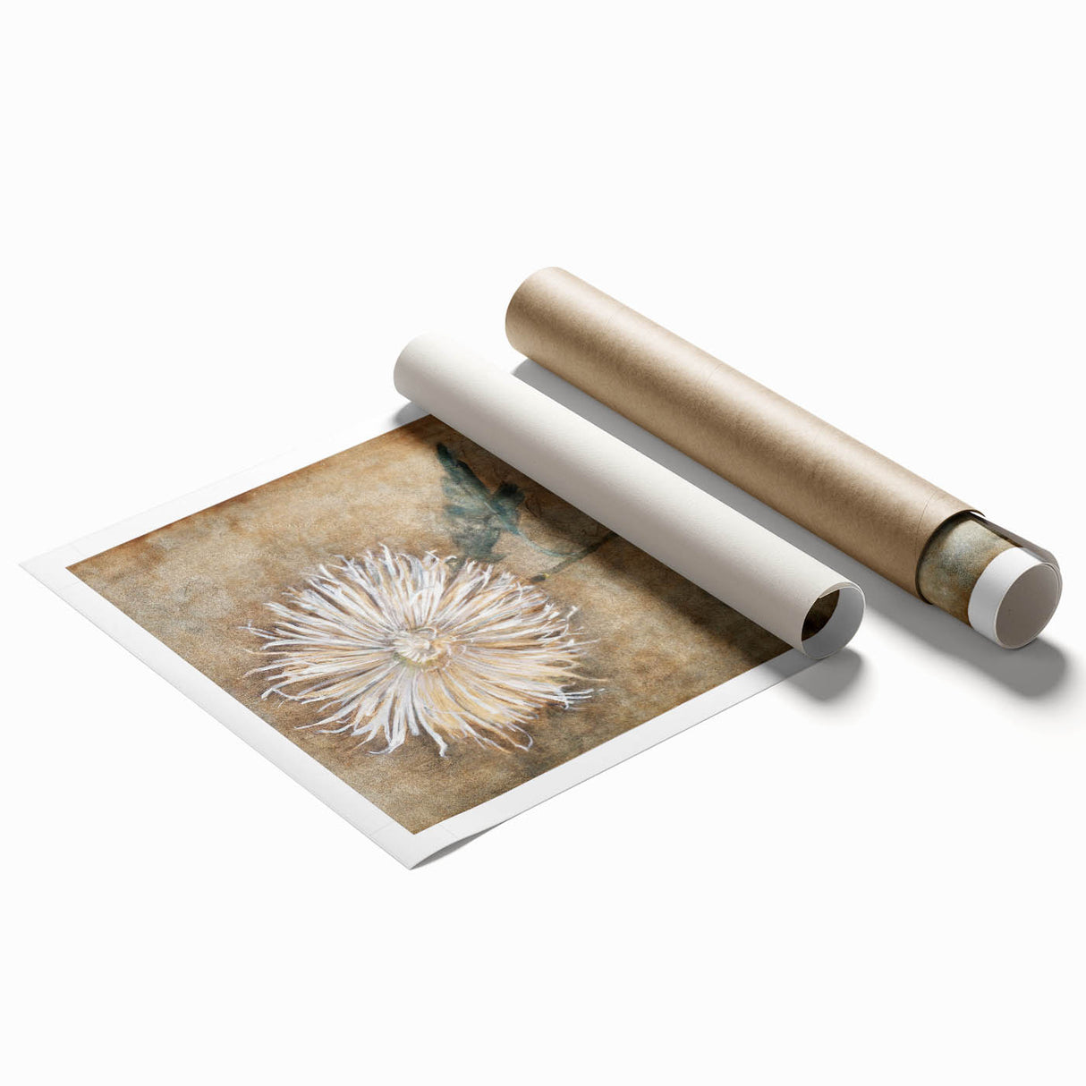 Elegant Chrysanthemum Modern Wall Art - Minimalist Contemporary Art Print