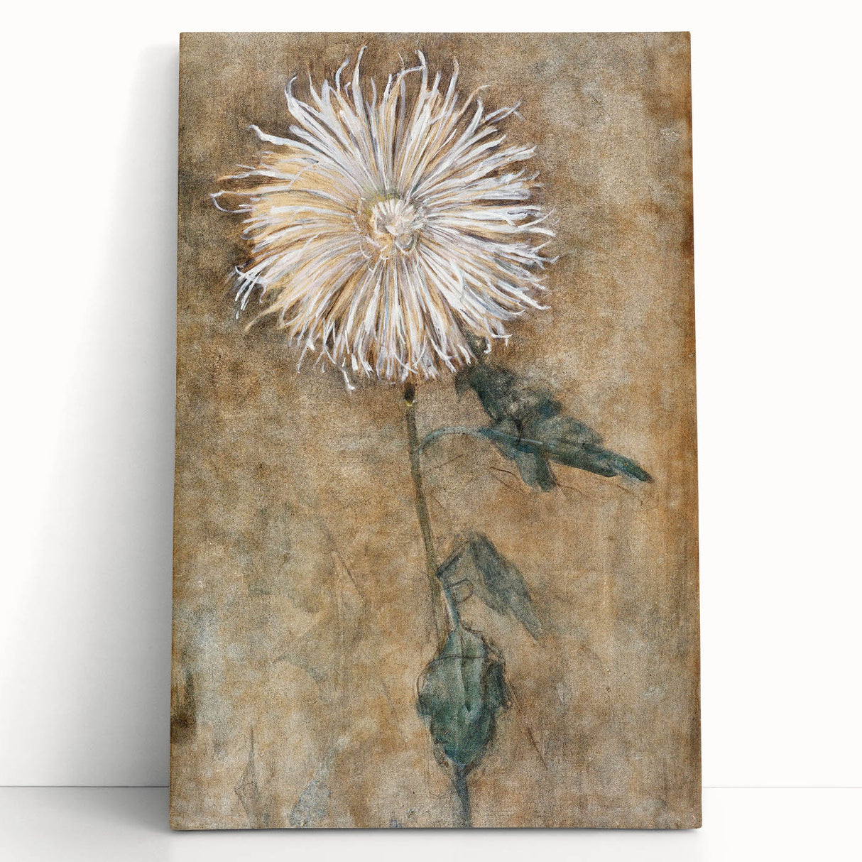Elegant Chrysanthemum Modern Wall Art - Minimalist Contemporary Art Print