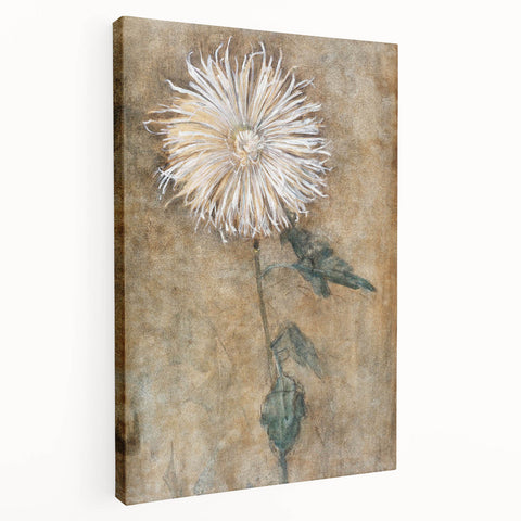 Elegant Chrysanthemum Modern Wall Art - Minimalist Contemporary Art Print