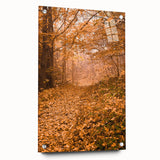 Large abstract wall art depicting fall trees in orange and red tones on acrylic glass.