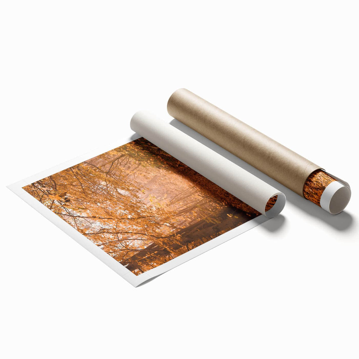 Extra large rolled print featuring autumnal floral art in warm orange and red tones.