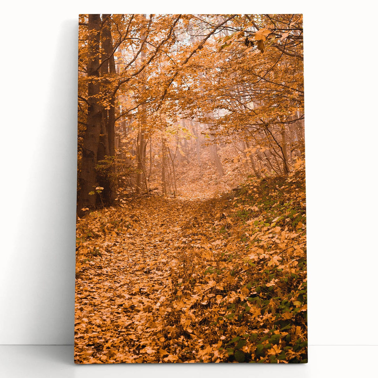 Black and white photo of a tree in autumn on large stretched canvas, ideal for kitchen wall art or bedroom.