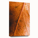 Large abstract wall art depicting autumnal trees in warm orange and red tones on acrylic glass.