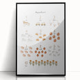 Numbers and Shapes Wall Art - Farm-Themed Counting Poster