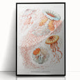 Intricate Jellyfish Modern Wall Art - Abstract Marine Art by Ernst Haeckel