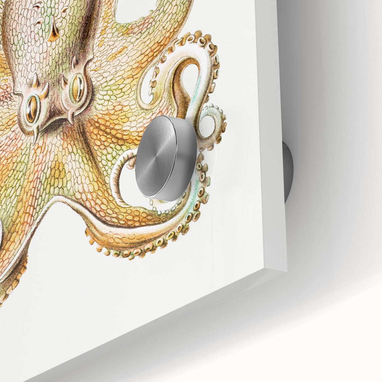 Vintage Octopus Illustration - Modern Wall Art with Marine Life Charm