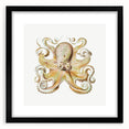 Vintage Octopus Illustration - Modern Wall Art with Marine Life Charm