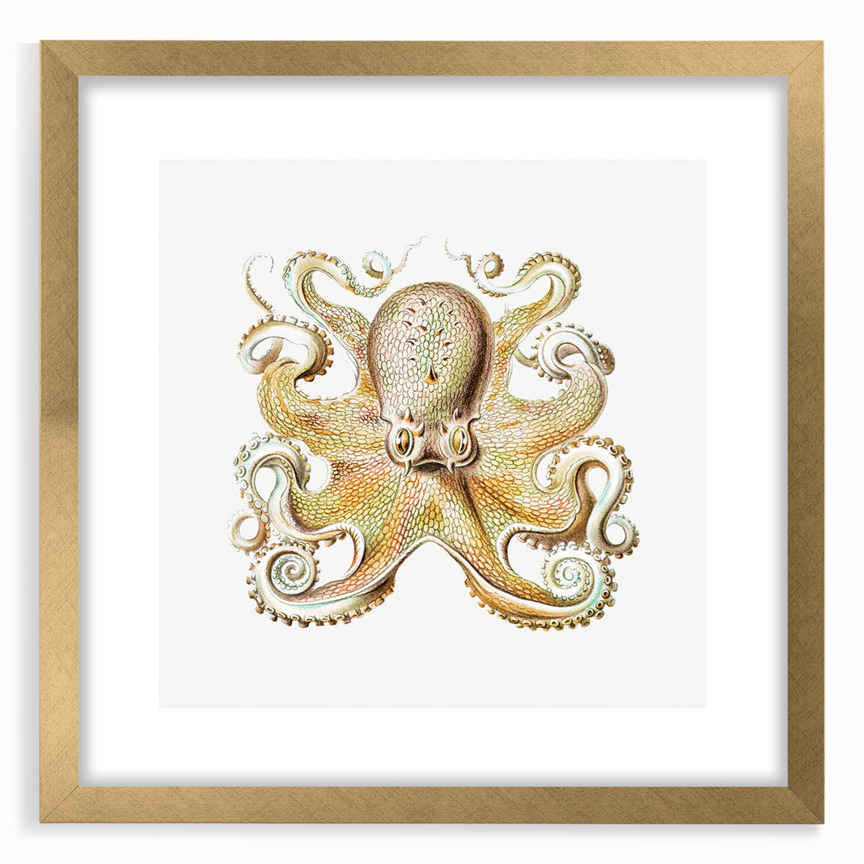 Vintage Octopus Illustration - Modern Wall Art with Marine Life Charm
