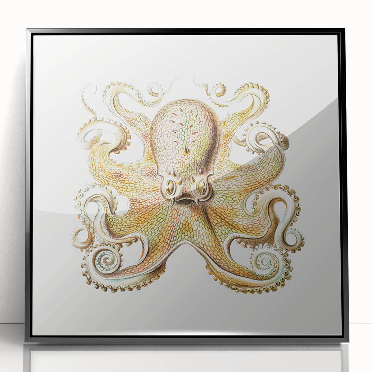 Vintage Octopus Illustration - Modern Wall Art with Marine Life Charm