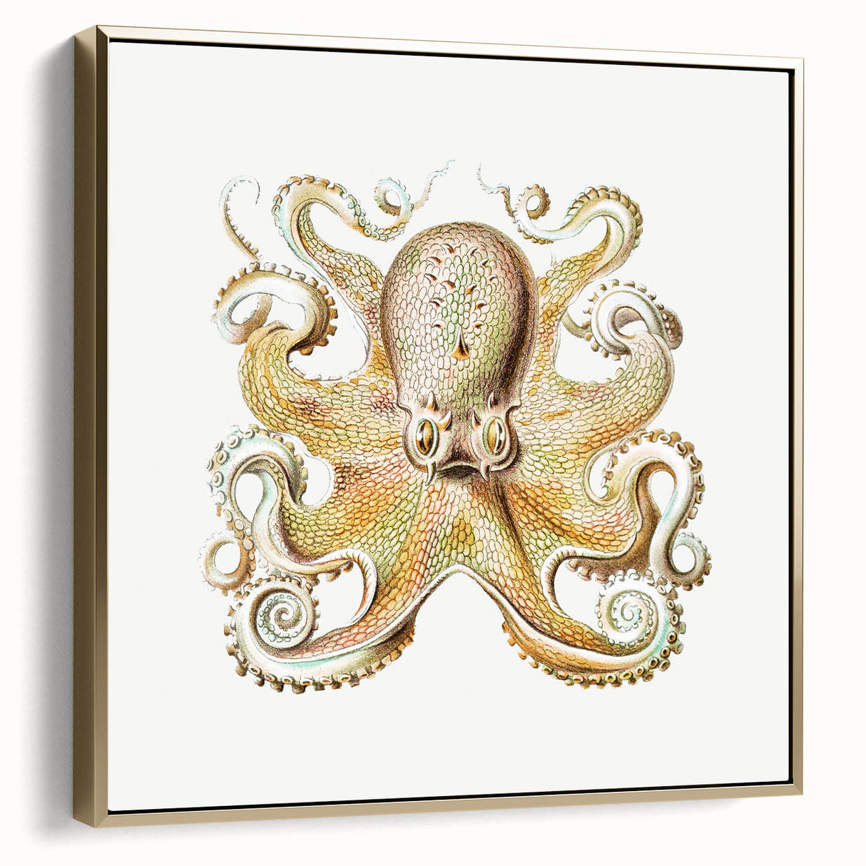 Vintage Octopus Illustration - Modern Wall Art with Marine Life Charm