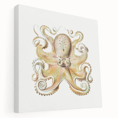 Vintage Octopus Illustration - Modern Wall Art with Marine Life Charm