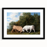 Bulls Fighting by George Stubbs - Romanticism Art Print on Canvas