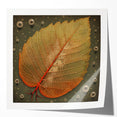 Colorful floral wall art print showcasing a vibrant design of flowers and botanical leaves, elegantly framed and displayed in a modern living room setting. Ideal for home decor enthusiasts seeking a fresh and lively aesthetic.