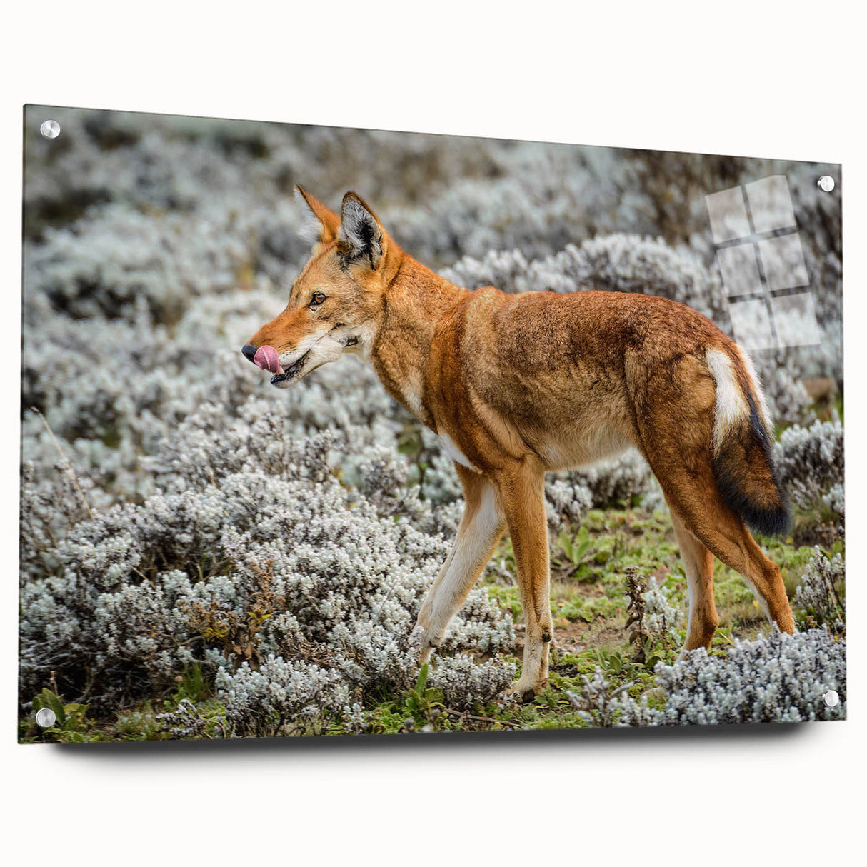 Acrylic print of an Ethiopian landscape in earthy tones, suitable for dining room or bedroom decor.