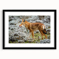 Extra large abstract art print featuring a colorful, textured depiction of the Ethiopian landscape on a framed canvas.