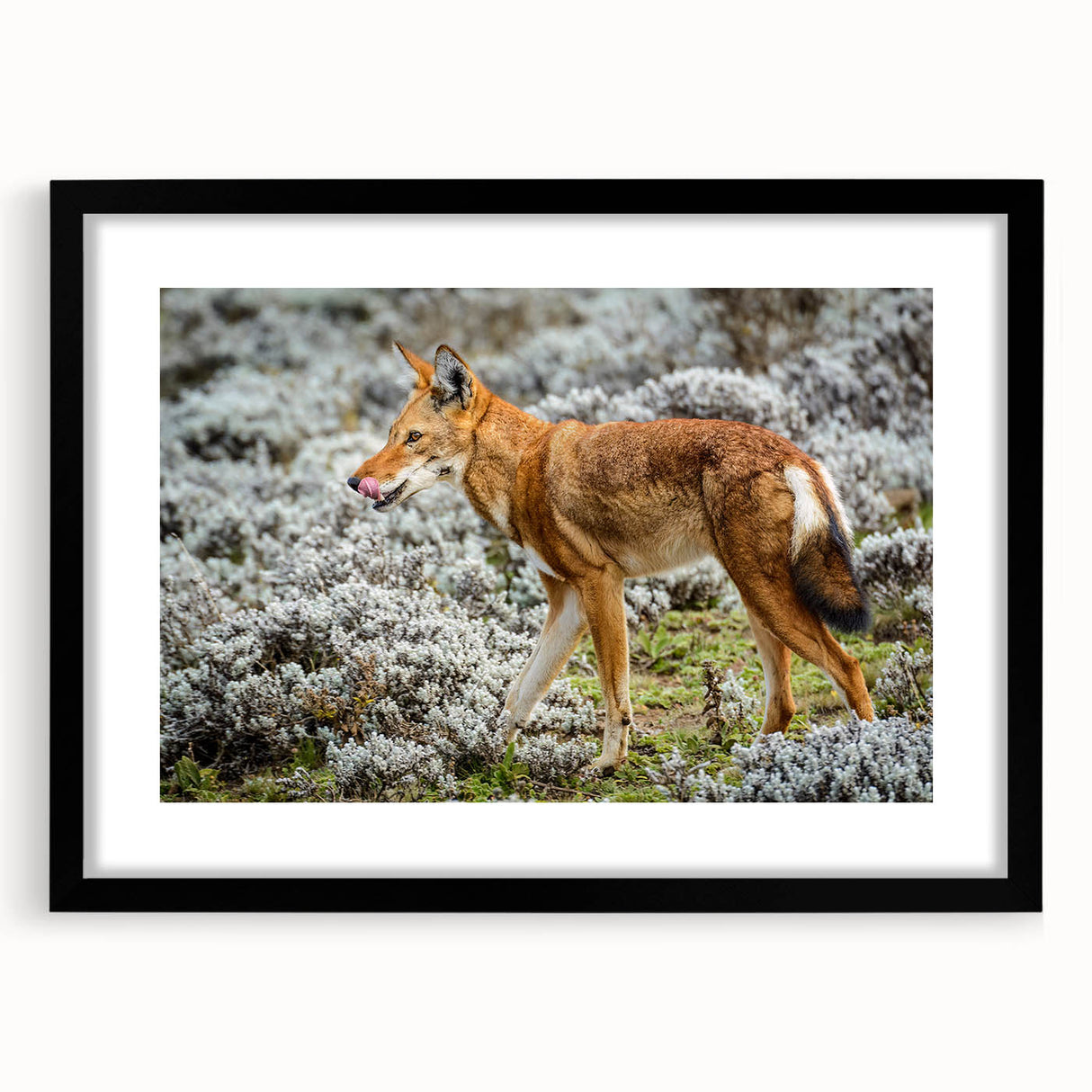 Extra large abstract art print featuring a colorful, textured depiction of the Ethiopian landscape on a framed canvas.