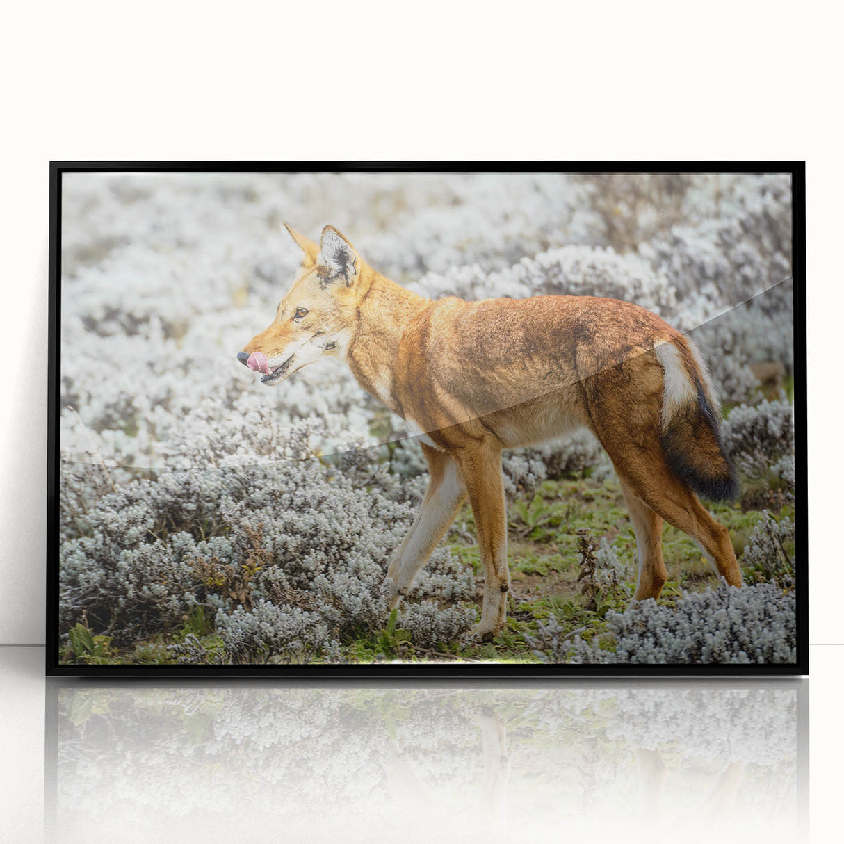 Large abstract wall art depicting an Ethiopian landscape in muted earth tones on a framed acrylic.