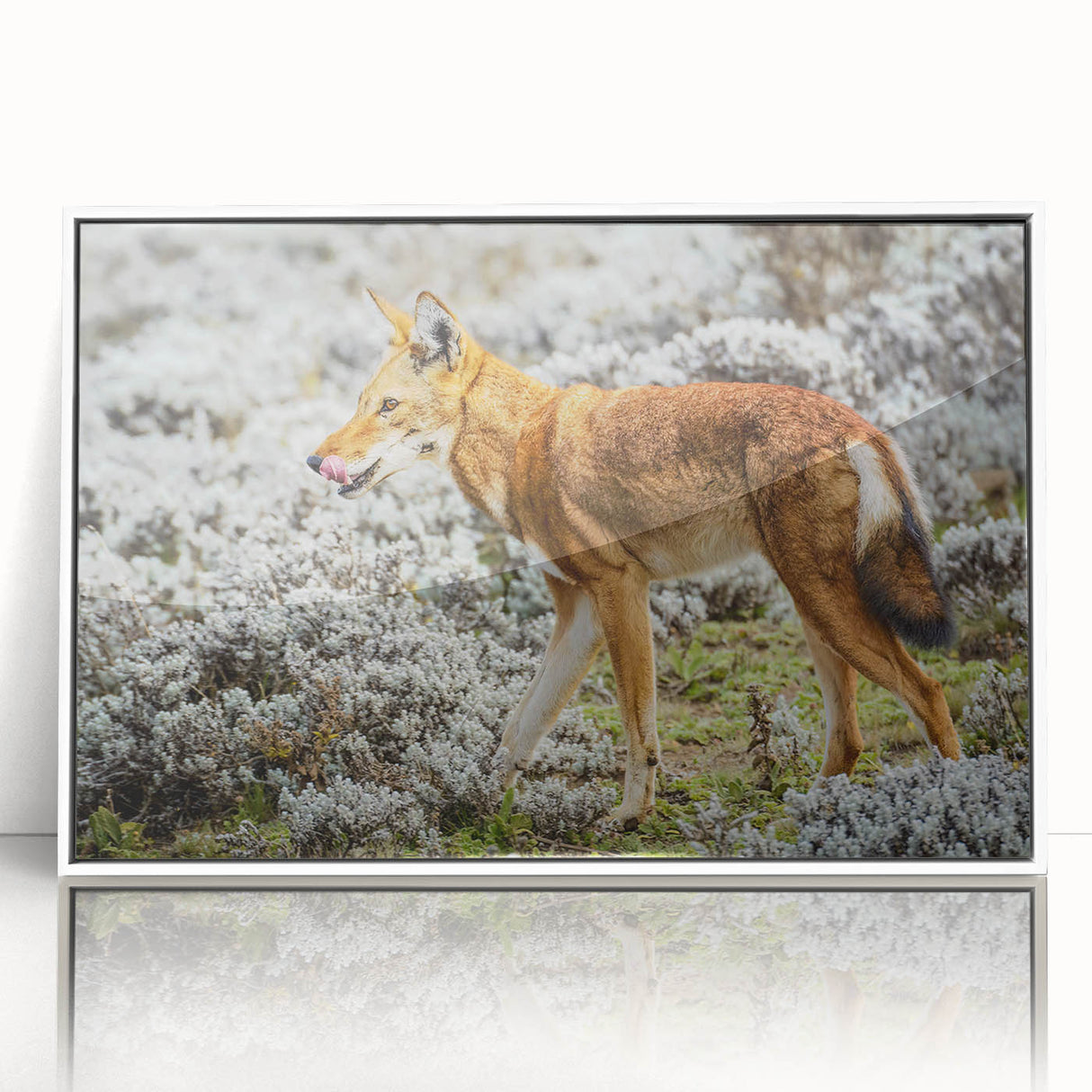 Framed acrylic print of a mid-century modernist Ethiopian landscape in muted earth tones, ideal for modern art wall decor.
