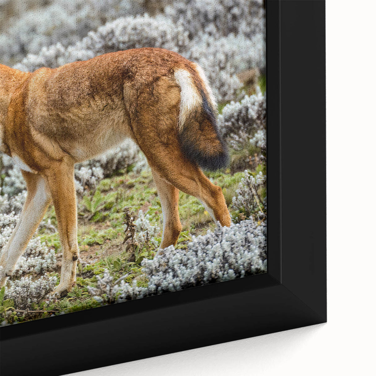 Extra large framed canvas featuring a textured depiction of an Ethiopian landscape in vibrant colors.