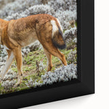 Extra large framed canvas featuring a textured depiction of an Ethiopian landscape in vibrant colors.