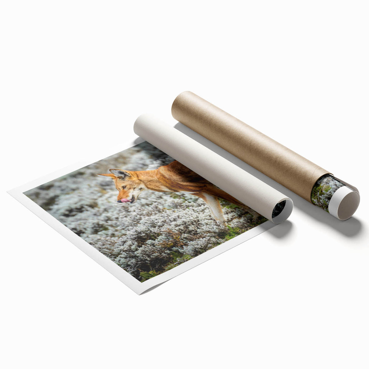 Extra large rolled print depicting vibrant floral scenery in Ethiopian landscape, ideal for classy bathroom wall art.