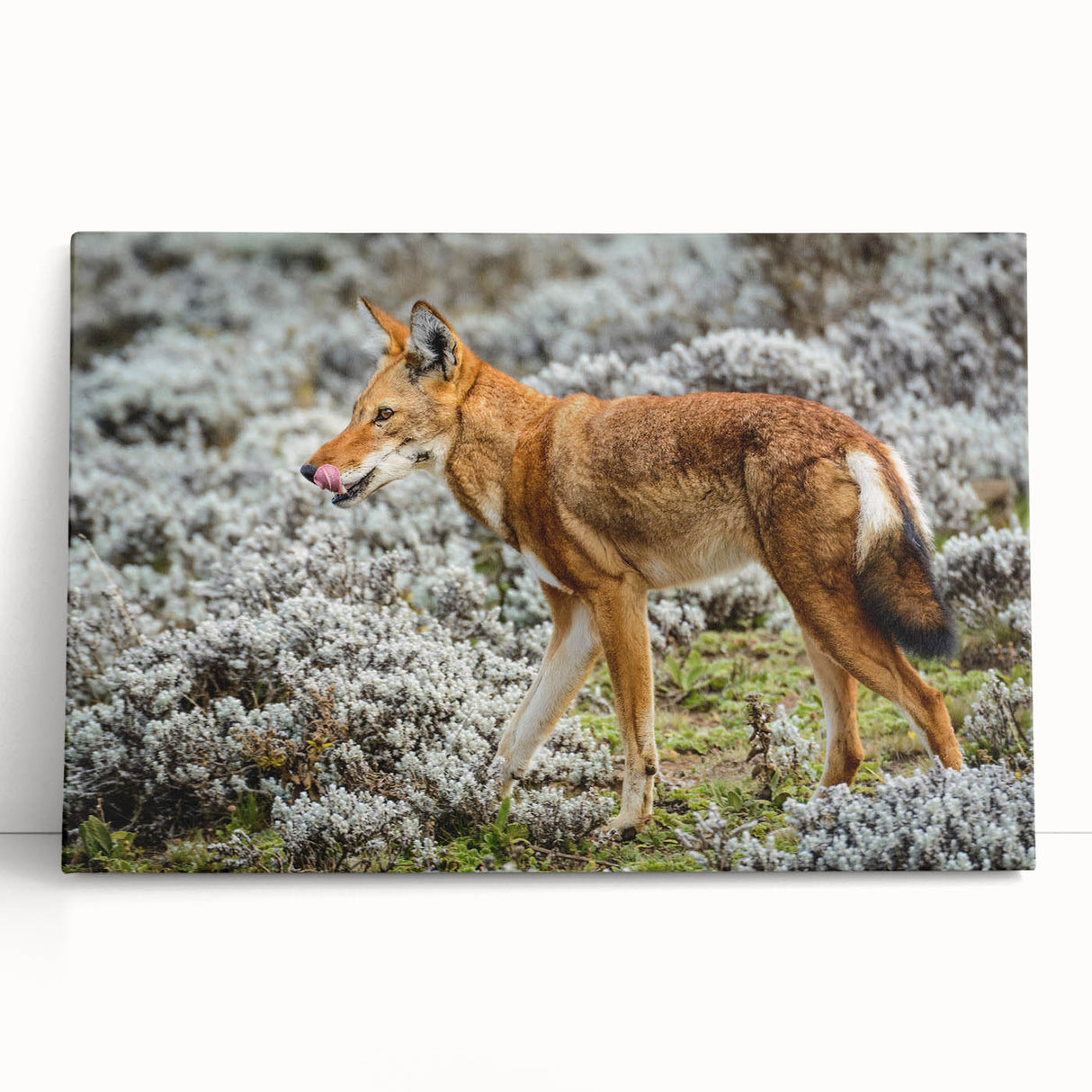 Black and white large art canvas depicting Ethiopian scenery, ideal for kitchen or bedroom wall art.