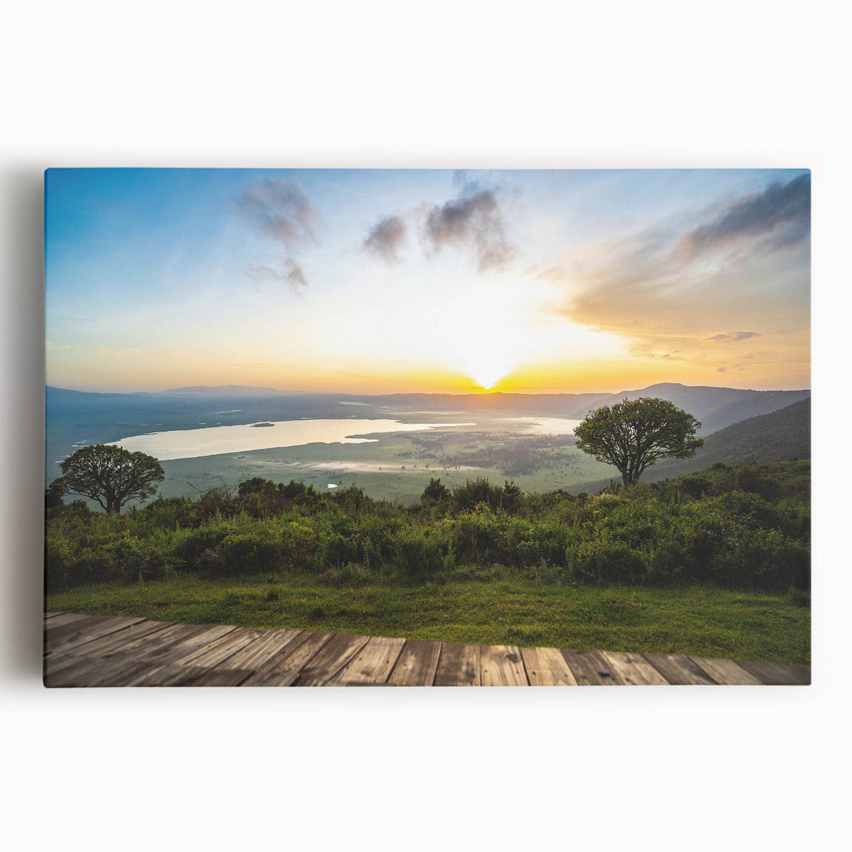 Black and white photo of African savannah on large stretched canvas, ideal for kitchen wall art.