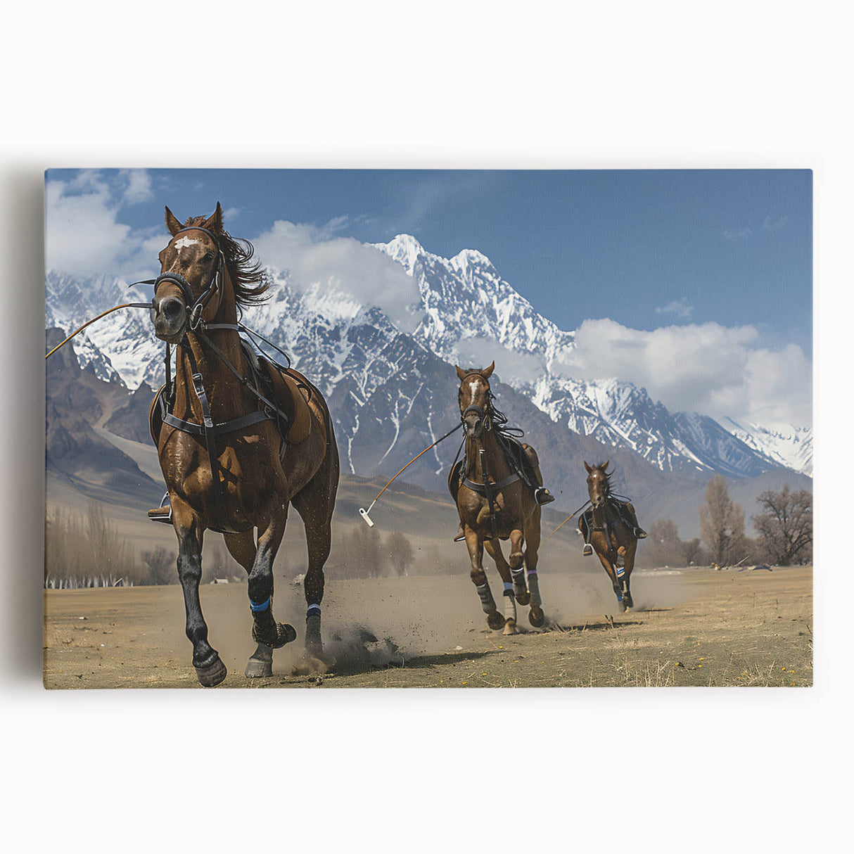 Black and white stretched canvas featuring a panoramic view of a Pakistani landscape, ideal for kitchen wall art.
