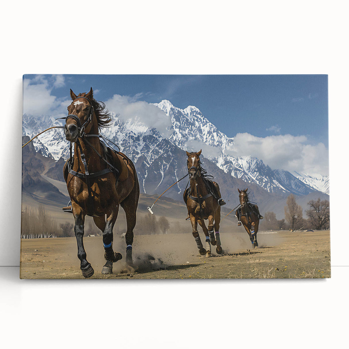 Black and white photograph of a serene Pakistani landscape on stretched canvas.