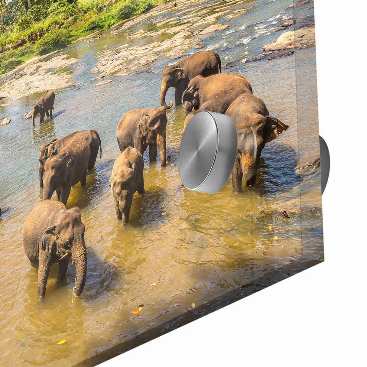 Large abstract wall art of a Sri Lankan landscape in muted earth tones on acrylic glass, ideal for dining room decor.