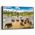 Black and white wall art of a Sri Lankan landscape on framed canvas, suitable for bedroom decor.