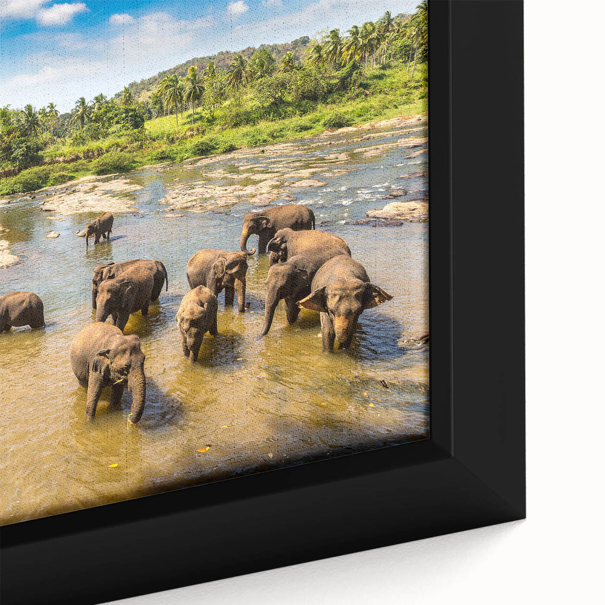 Framed canvas depicting a textured, colorful Sri Lankan landscape in black with vibrant accents, ideal for living room décor.