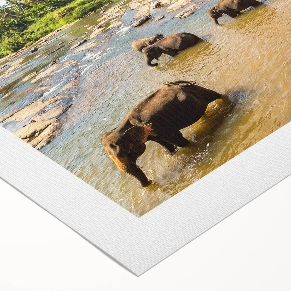 Art deco poster featuring a serene Sri Lankan landscape in soft green and blue tones on rolled canvas.
