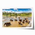 Extra large rolled print of a Sri Lankan landscape, featuring lush greenery and vibrant floral elements.