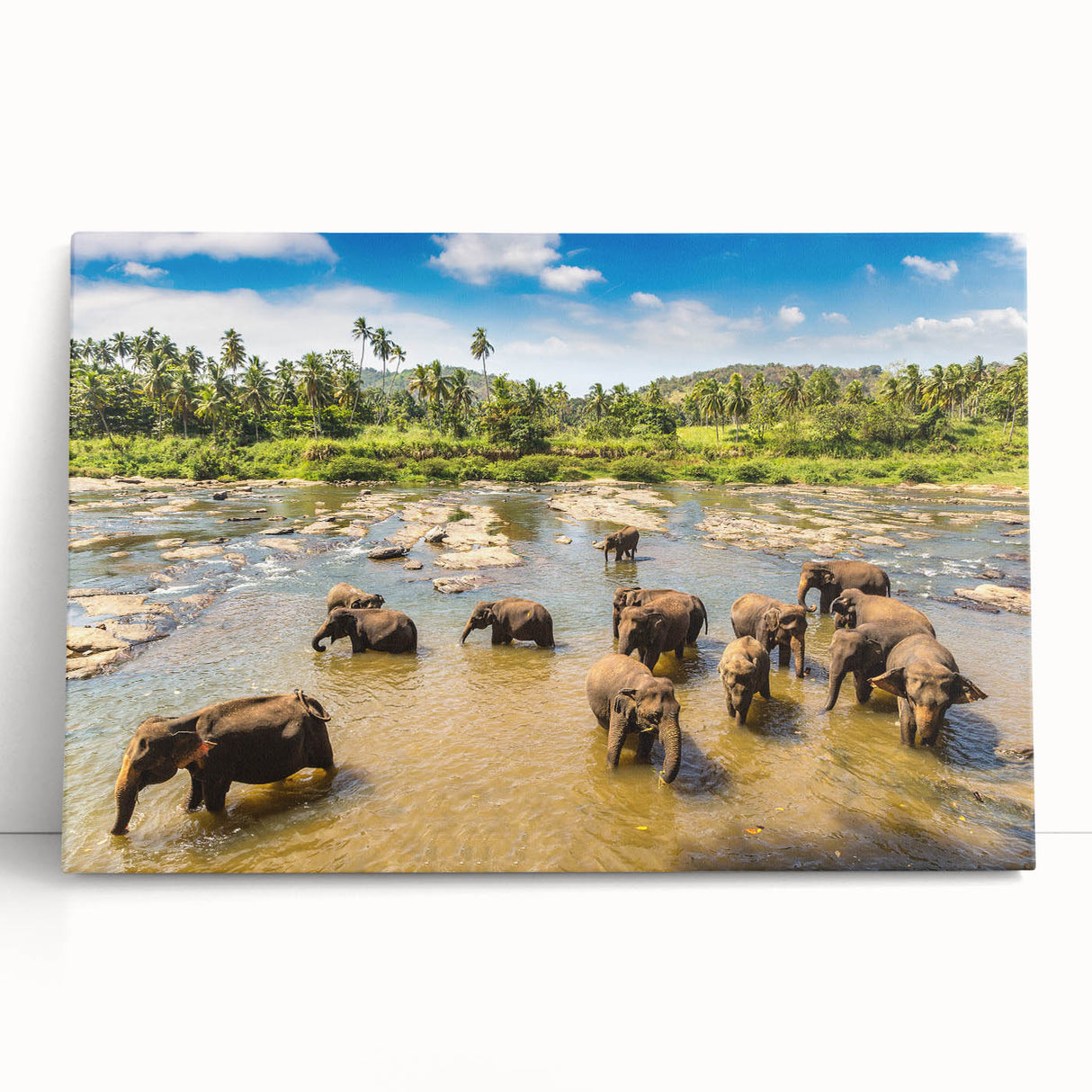 Black and white photo of Sri Lankan landscape on stretched canvas, suitable as kitchen wall art or bedroom decor.