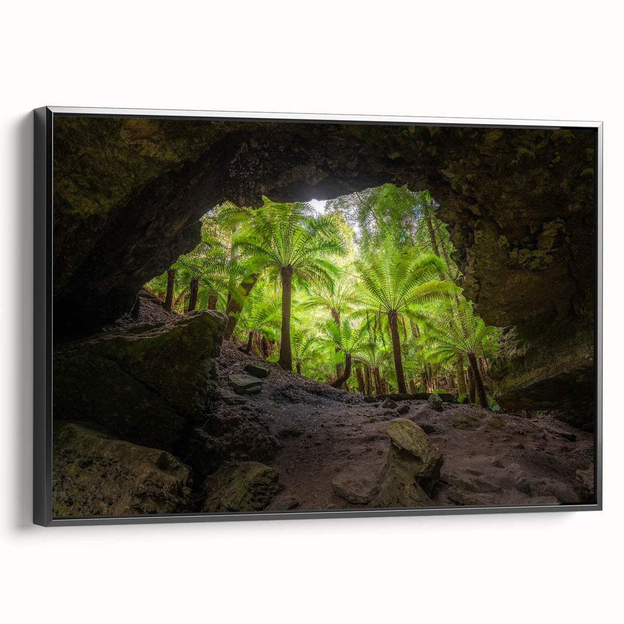 Black and white framed canvas of a Tasmanian landscape, ideal for bedroom wall art.